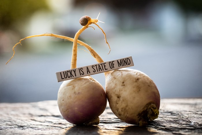 Snail on roots with lucky quote