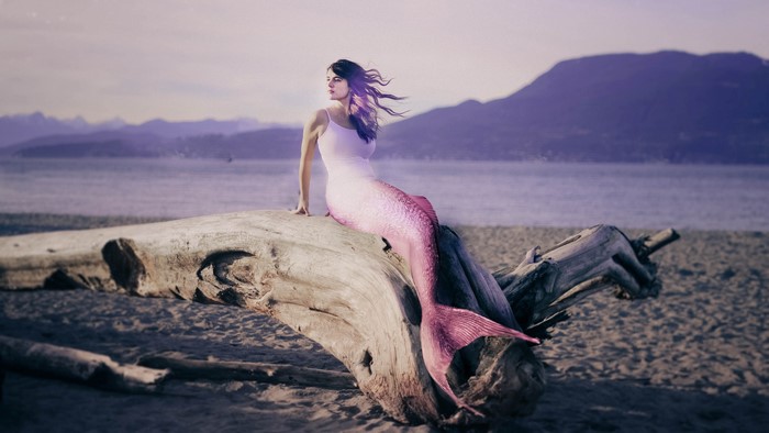 Woman in mermaid tail sitting on driftwood