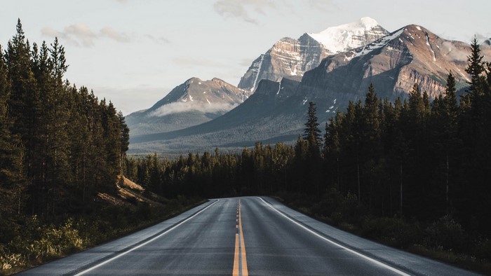 Road through a forest towards snow-capped mountains