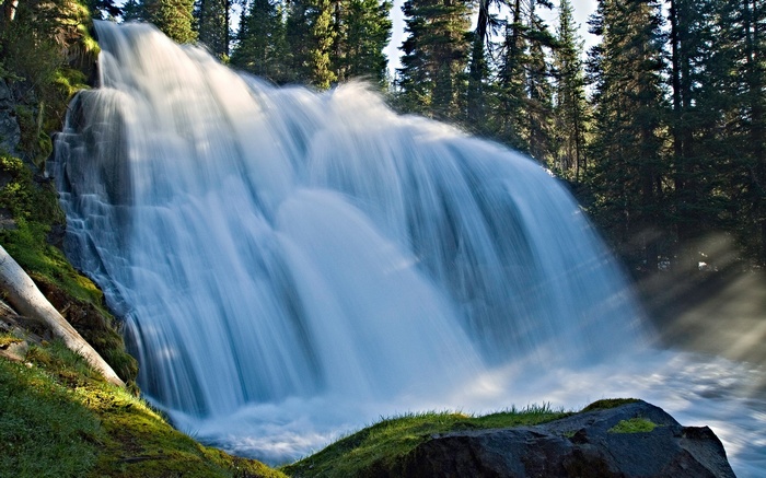 Waterfall cascading through a forest