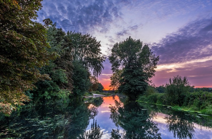 River reflecting trees and sunset sky