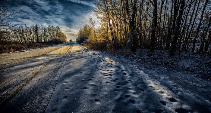 Snowy road through a winter forest at sunset