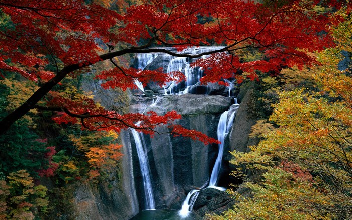 Waterfall in Japan with Red Maple Leaves in Fall