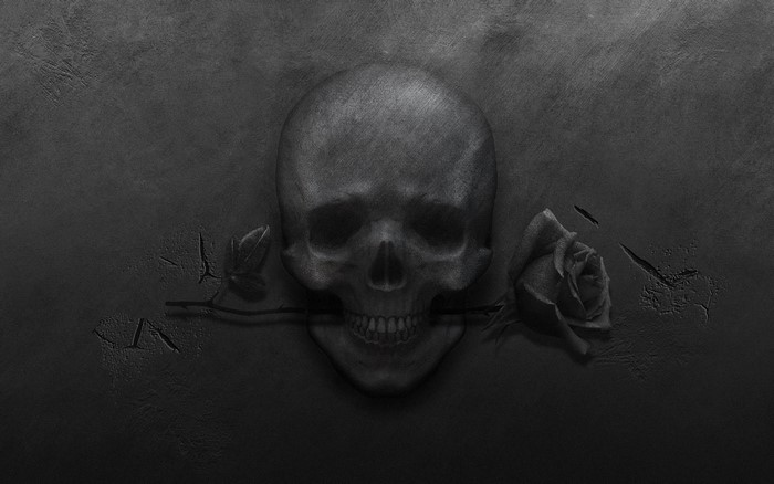 Monochrome skull with a rose