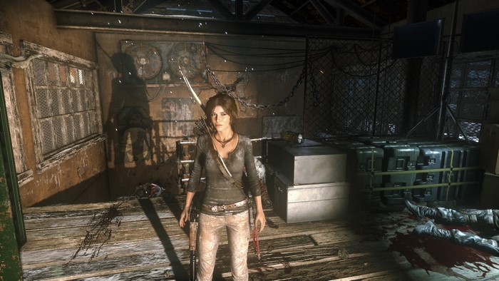 Rise Of The Tomb Raider Tomb Raider Lara Croft Hd Wallpaper Rare Gallery 9832