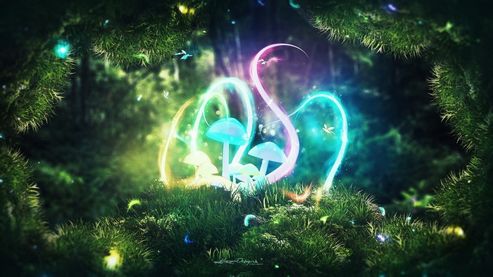 Fantasy forest with glowing mushrooms and fairies