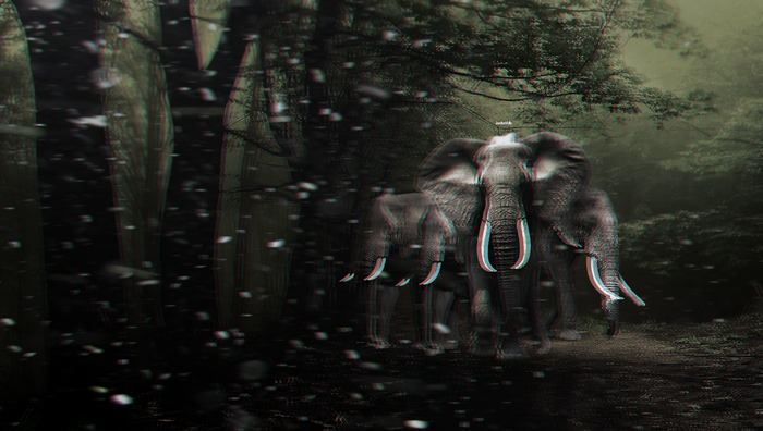 Distorted elephants in a dark forest