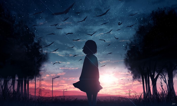 Anime girl silhouetted against a starry sky with birds