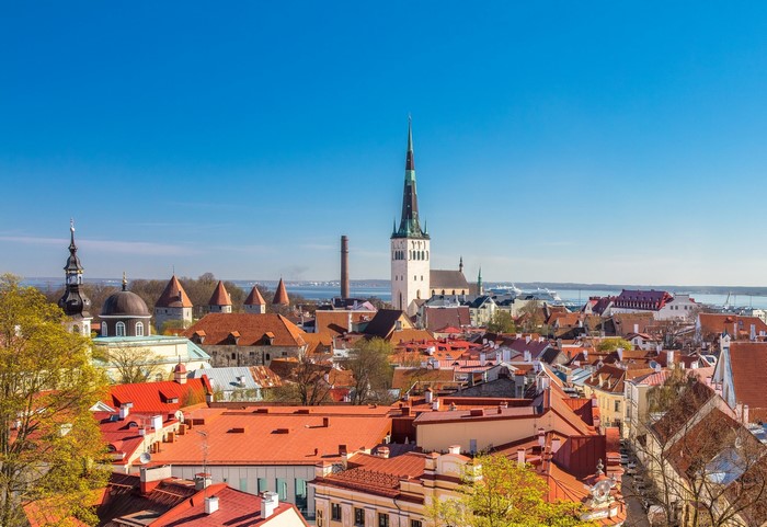Tallinn cityscape with red rooftops and church spires
