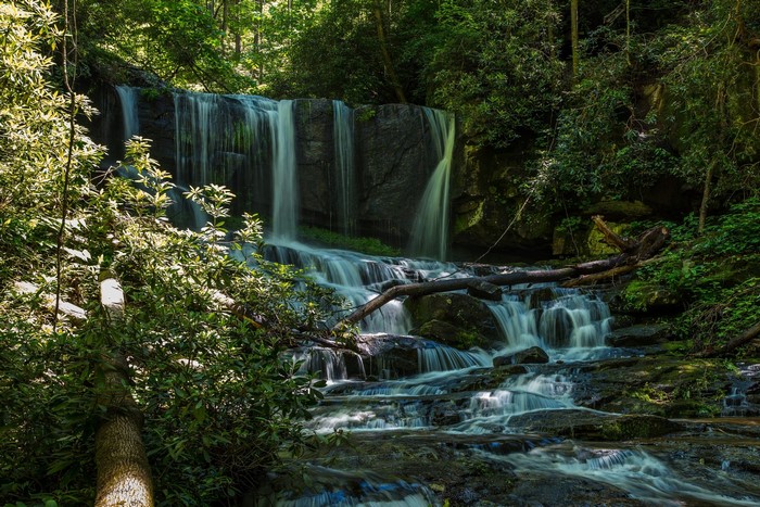 Waterfall cascading through a lush forest