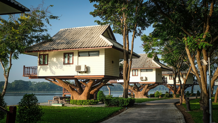Tree houses on stilts by a lake