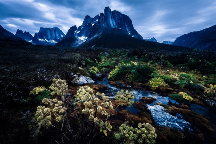 Dark mountain landscape with river and plants
