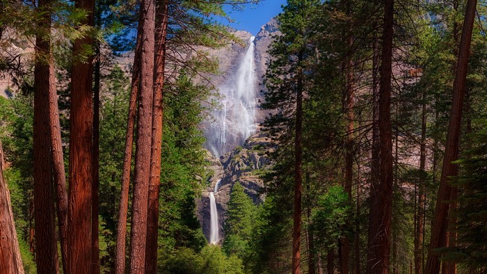 Tall trees frame a majestic waterfall cascading down a rocky cliff face.