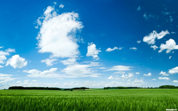 Green field under a blue sky with clouds