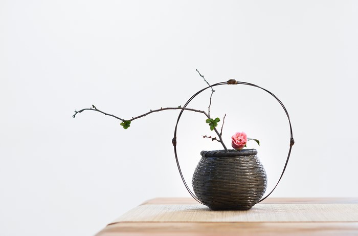 Ikebana arrangement with pink camellia and branches