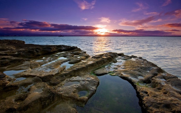 Rocky coastline at sunset with purple clouds