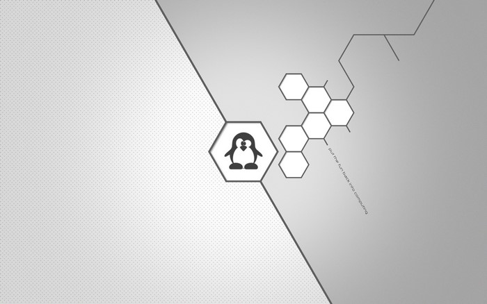 Linux Tux hexagon and molecular structure