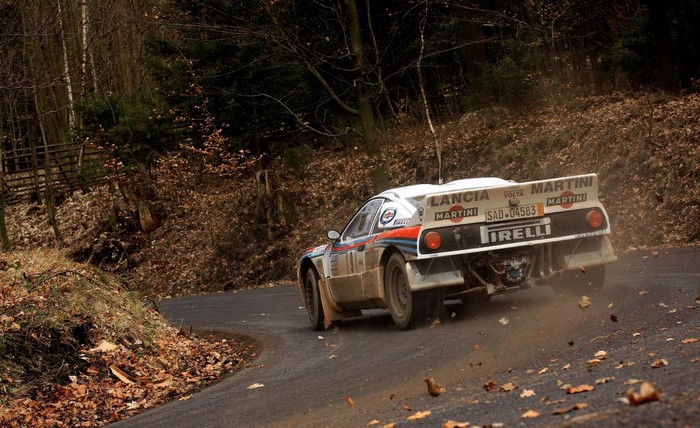 Lancia 037 Rally Car on a Forest Road