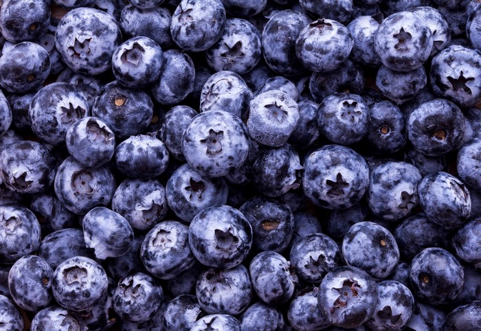 A pile of fresh blueberries