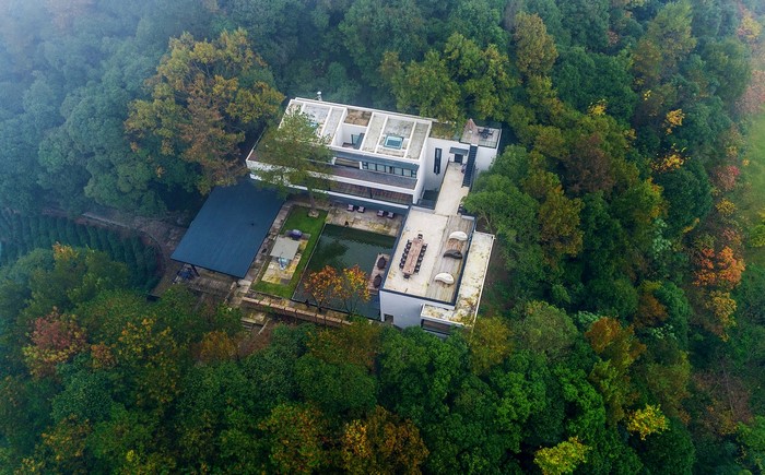 Modern house with pool in a forest