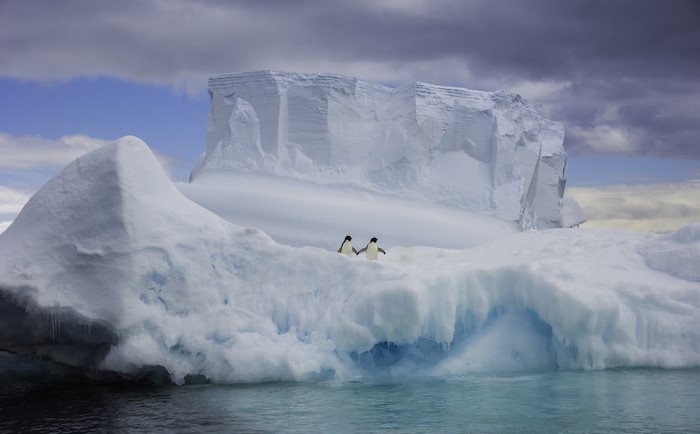 Two penguins holding hands on an iceberg