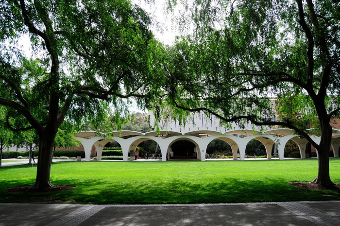 Campus lawn with arched walkway and trees