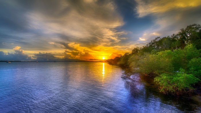 Sunset over water with trees