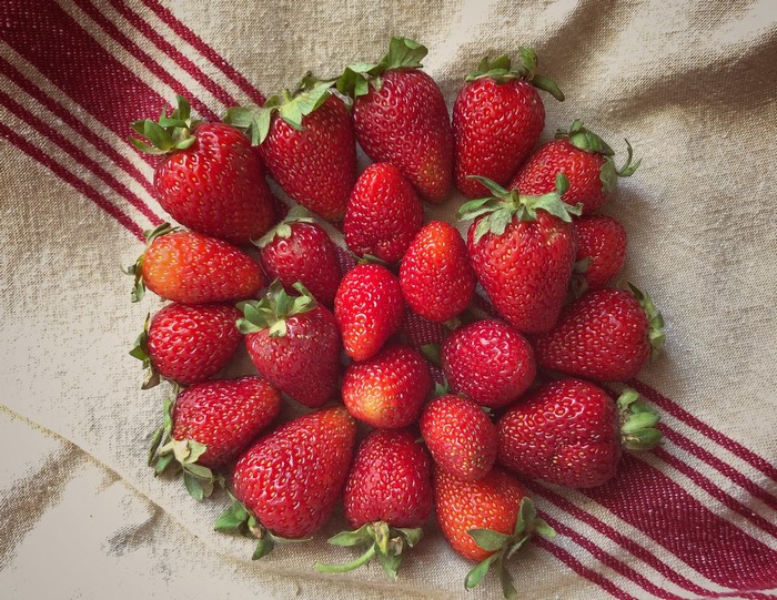 Strawberries on a striped cloth