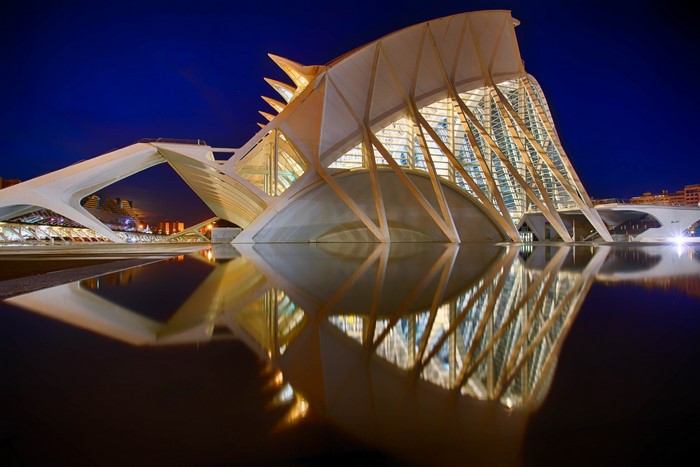 L'Oceanogràfic building in Valencia at night with reflection