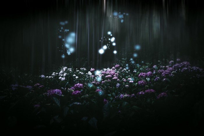 Magical forest with glowing lights and flowers