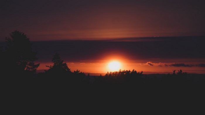 Sunset over a dark forest in Norway