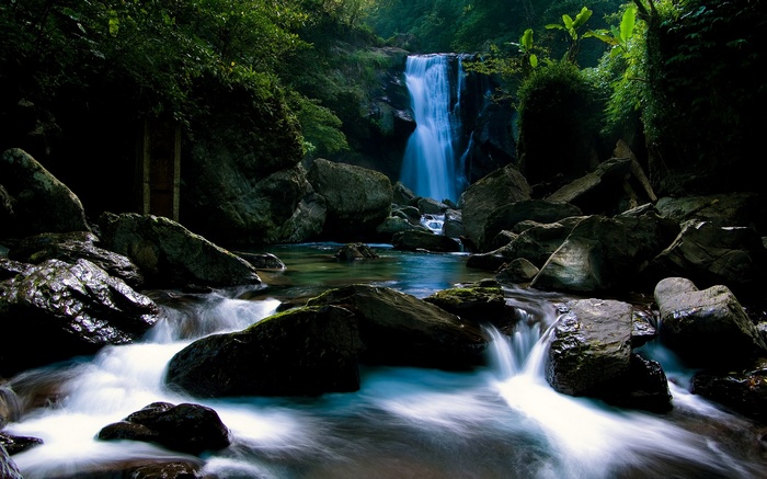 Waterfall cascading into a rocky stream in a dense forest