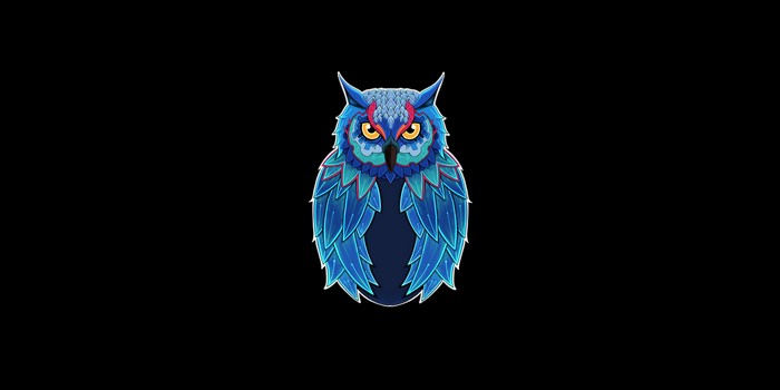 4K Blue Owl Artwork