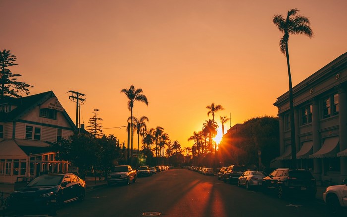 Sunset over a street lined with palm trees and cars