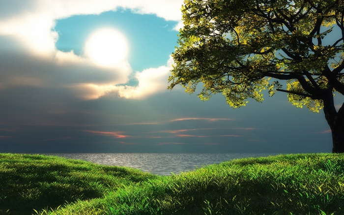 Tree overlooking a body of water with clouds and sun