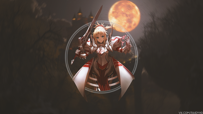 Saber Lily from Fate/Unlimited Codes