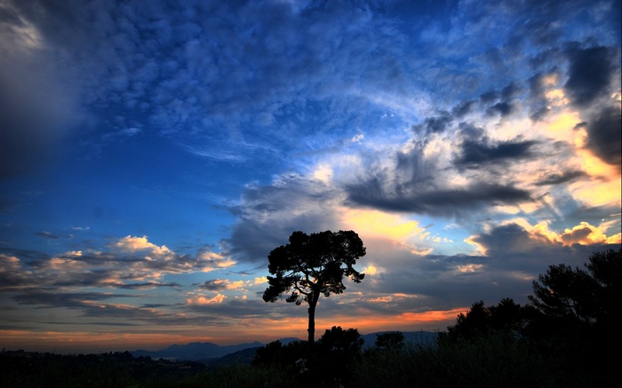 Silhouette of a lone tree against a dramatic sunset sky