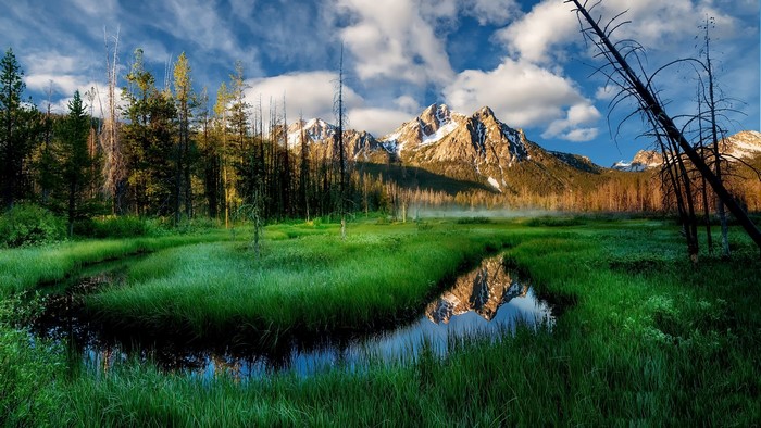 Snow-capped mountains reflected in a stream with trees
