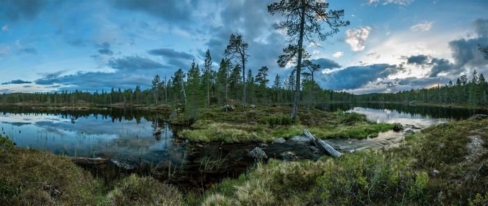 Panoramic view of a forest lake with reflections