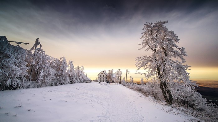 Snow-covered trees and buildings on a winter mountain