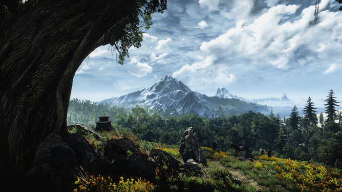 The Witcher 3: Wild Hunt landscape