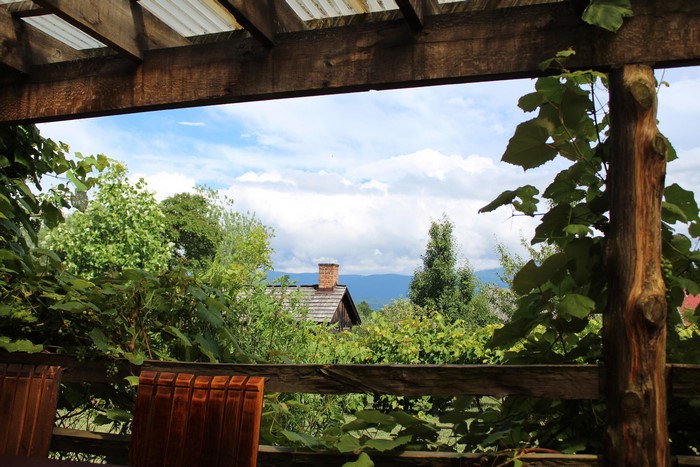 Cabin with chimney surrounded by plants and trees