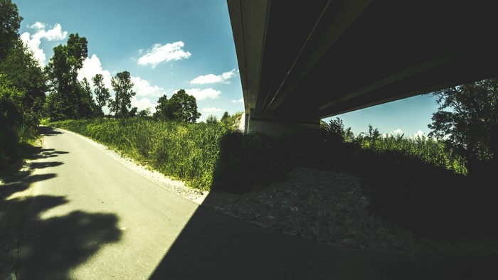 Road under a bridge with trees and sky