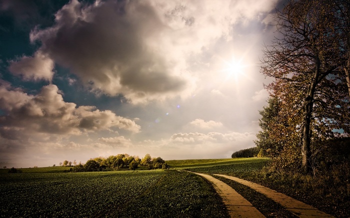 Dirt road through a field under a cloudy sky