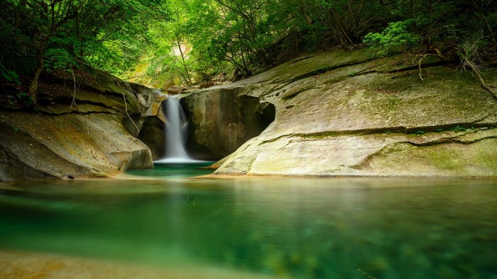 Waterfall cascading into a clear green pool in a forest