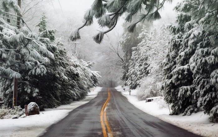 A snow-covered road winds through a winter forest