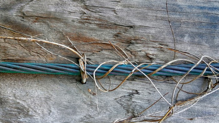 Close-up of a weathered wooden surface with a thick metal cable entwined with dry vines.