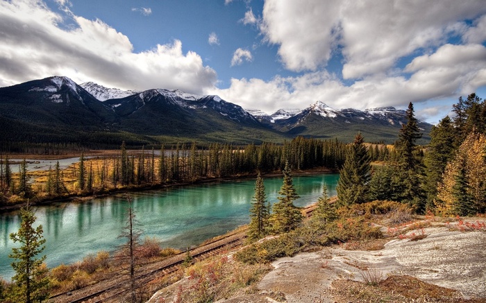 Turquoise river and snow-capped mountains with pine forest
