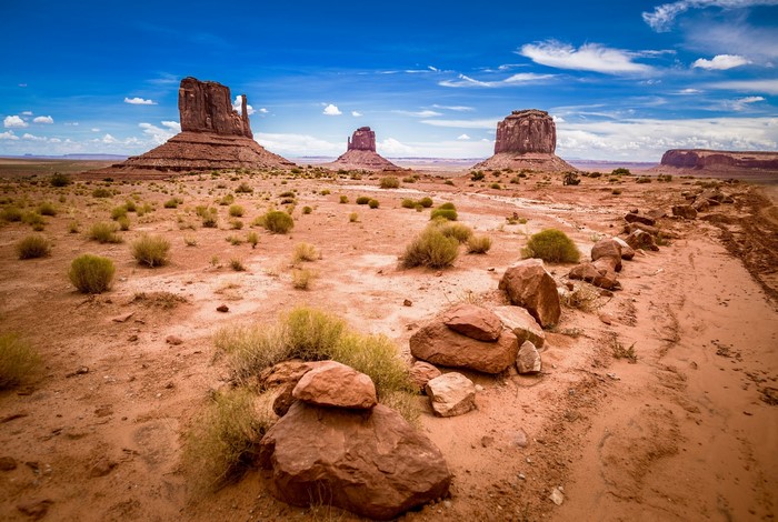 Monument Valley landscape with rock formations and desert plants