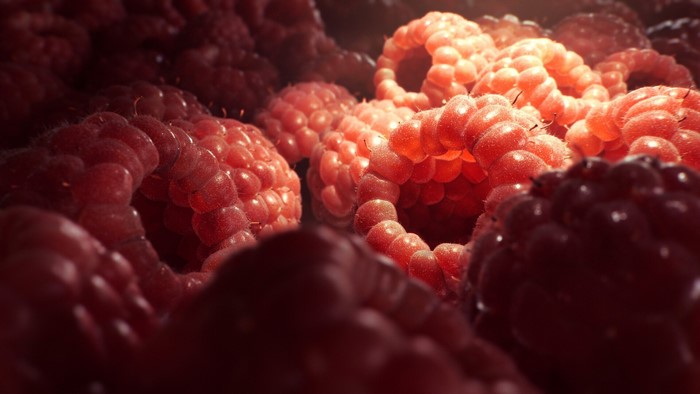 Macro view of ripe red raspberries